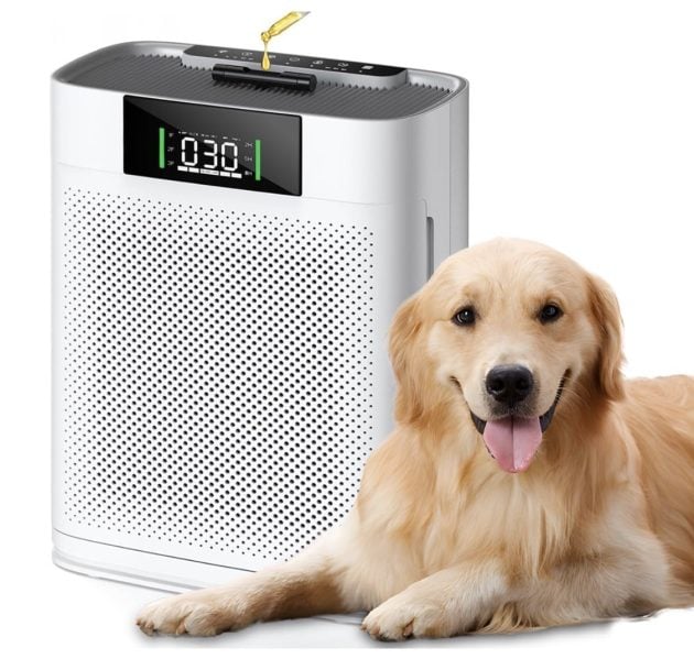 Air Purifier for Large Room